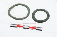 Foto von Bronzering (NHMW-PRAE-026403)